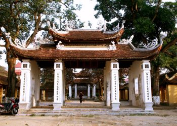 254doc Dao Dinh Dam