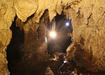 267khai Quat Khao Co Tai Hang Doi Tinh Tuyen Quang