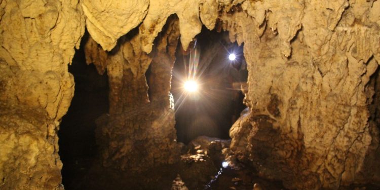 267khai Quat Khao Co Tai Hang Doi Tinh Tuyen Quang