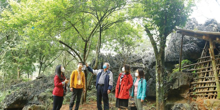 282kham Pha Tuyet Son