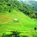289lao Cai Ve Dep Ruong Bac Thang Tan Tien