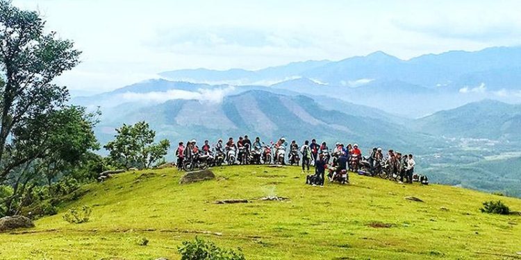 298lang Du Thao Nguyen Dong Cao
