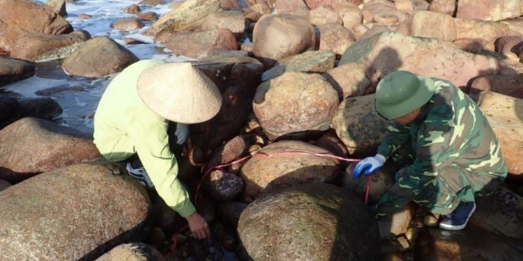 3011bao Ton Phat Huy Gia Tri Vuon Quoc Gia Bai Tu Long 1