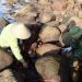 3011bao Ton Phat Huy Gia Tri Vuon Quoc Gia Bai Tu Long 1