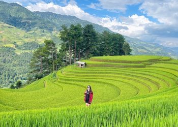 309 Mu Cang Chai Yen Bai Nhat Dinh Phai Den 1