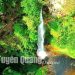 315 Ve Dep Thac Ma Hec Tuyen Quang 1