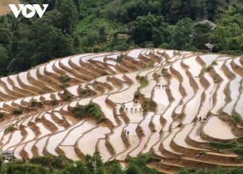 33dong Bao Mong Giu Gin Phat Huy Danh Thang 1
