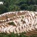 33dong Bao Mong Giu Gin Phat Huy Danh Thang 1