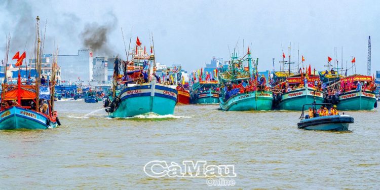 36ca Mau Song Ong Oc Ia Danh Huyen Thoai 2