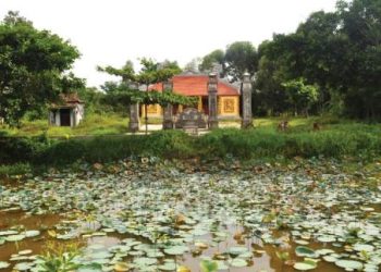 410bat Ngo Voi Dong Lam 1