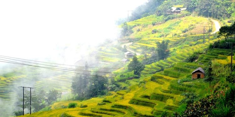 410lao Cai Tro Lai Ngoi Lang Cao Nhat Viet Nam