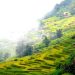 410lao Cai Tro Lai Ngoi Lang Cao Nhat Viet Nam