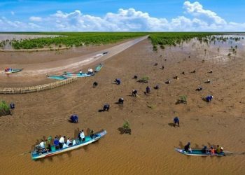 710 Trai Nghiem Du Lich Xanh Hap Dan Tai Ca Mau