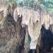 Ota Viet Nam 1 1017