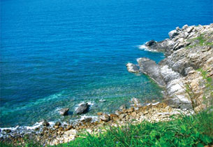 Ota Viet Nam 1 1030