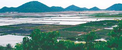 Ota Viet Nam 1 1031