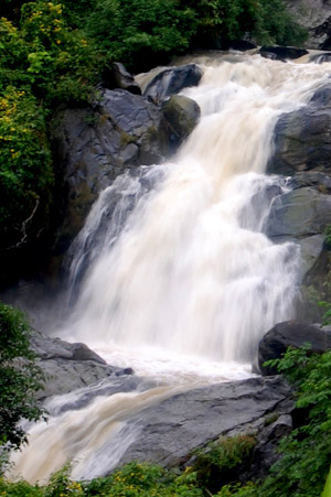 Ota Viet Nam 1 1051