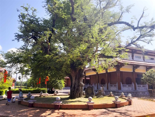 Ota Viet Nam 1 124