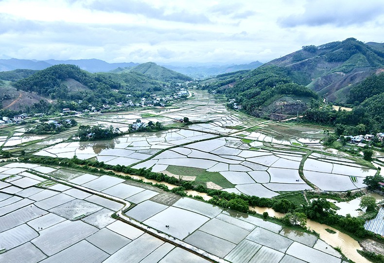 Ota Viet Nam 1 127