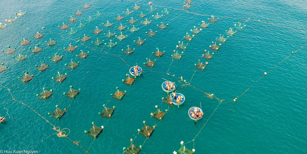 Ota Viet Nam 1 170