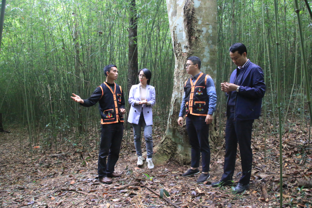 Ota Viet Nam 1 212