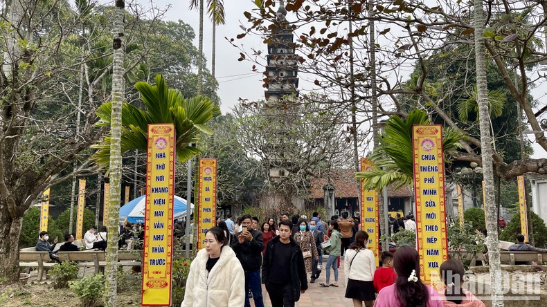 Ota Viet Nam 1 217