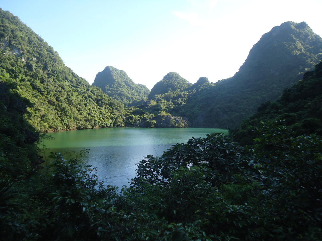 Ota Viet Nam 1 235