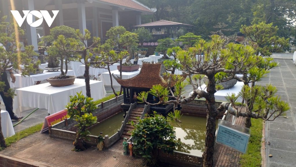 Ota Viet Nam 1 248