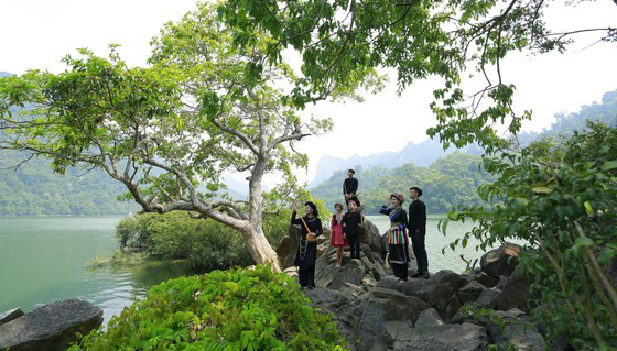 Ota Viet Nam 1 256