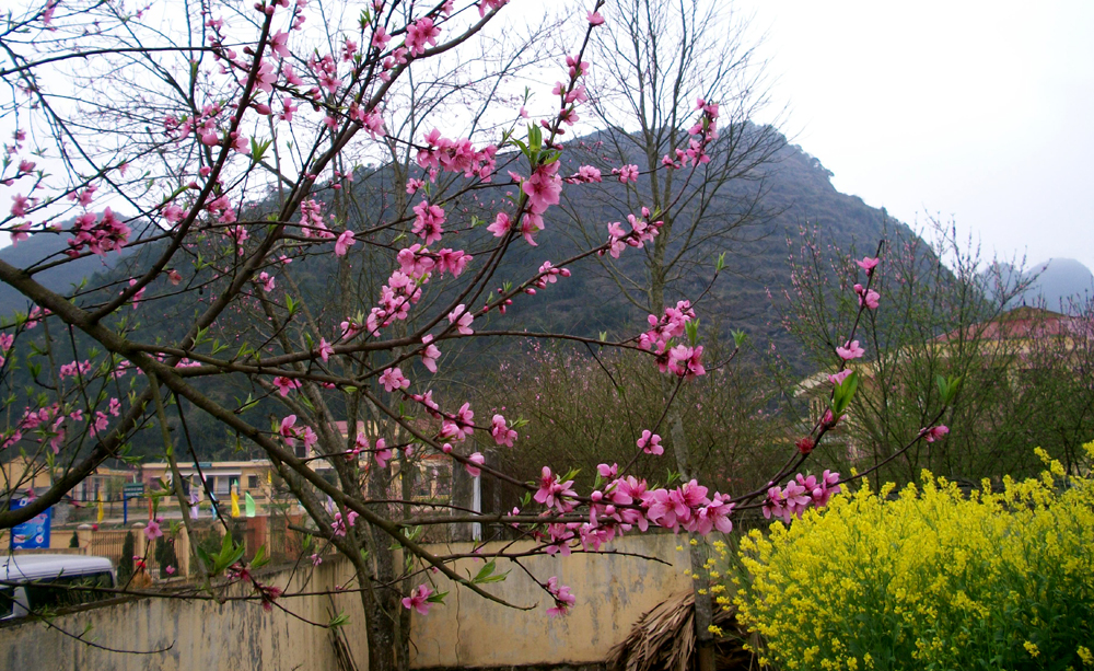 Ota Viet Nam 1 280