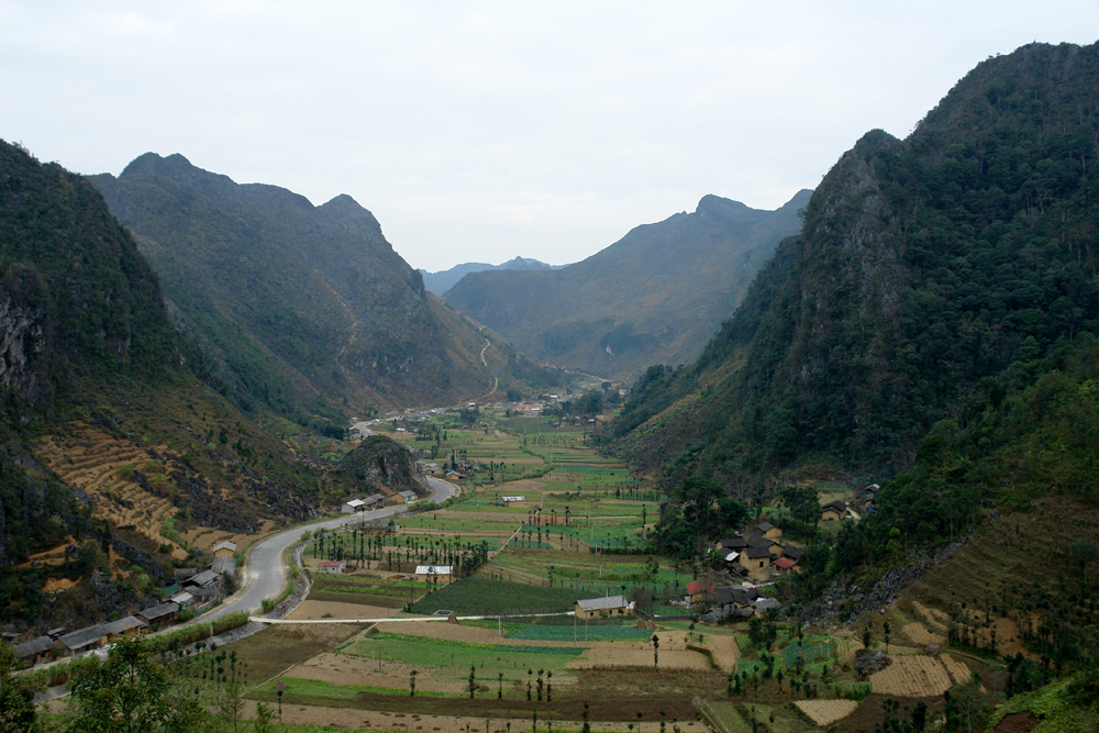 Ota Viet Nam 1 281