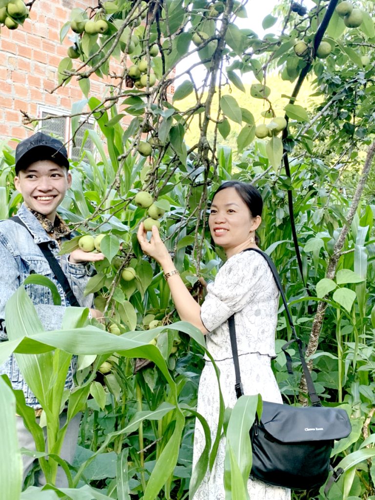 Ota Viet Nam 1 290