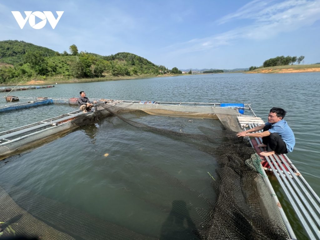 Ota Viet Nam 1 329