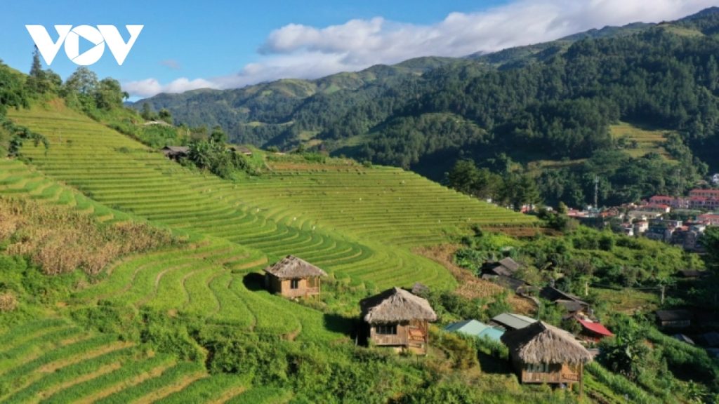 Ota Viet Nam 1 334