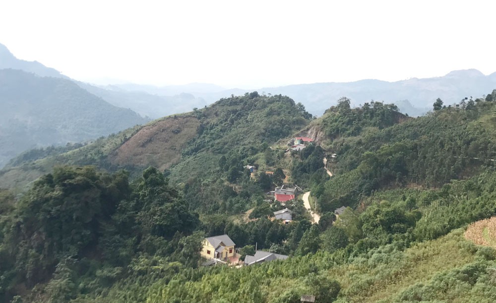 Ota Viet Nam 1 357
