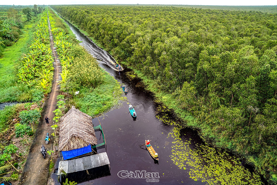 Ota Viet Nam 1 360
