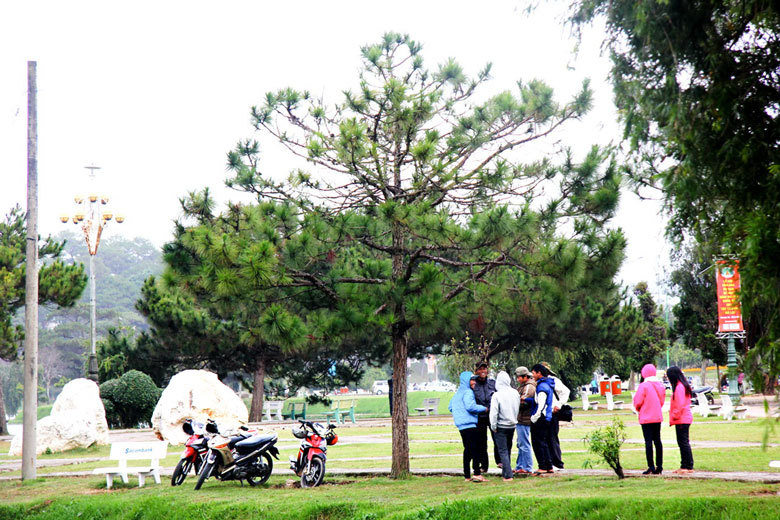 Ota Viet Nam 1 372