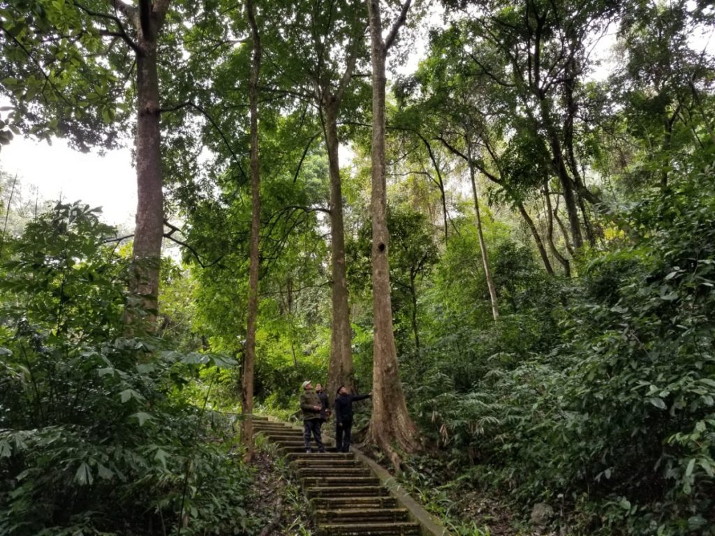 Ota Viet Nam 1 378