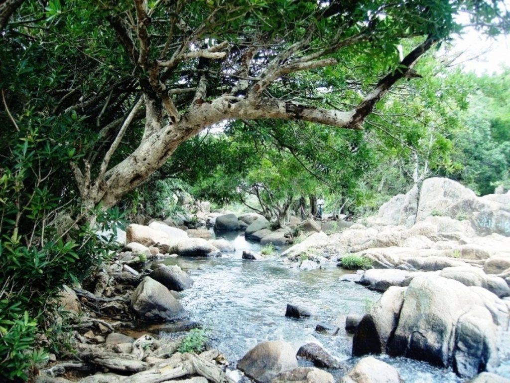 Ota Viet Nam 1 381