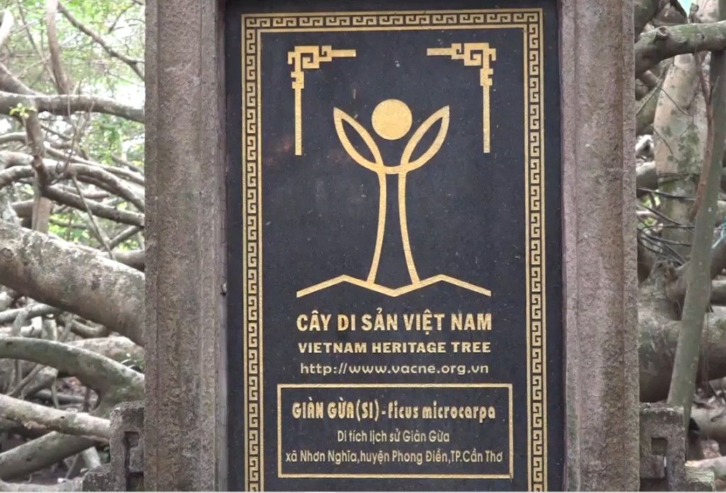 Ota Viet Nam 1 384