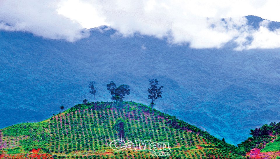 Ota Viet Nam 1 392