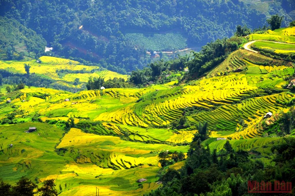 Ota Viet Nam 1 395