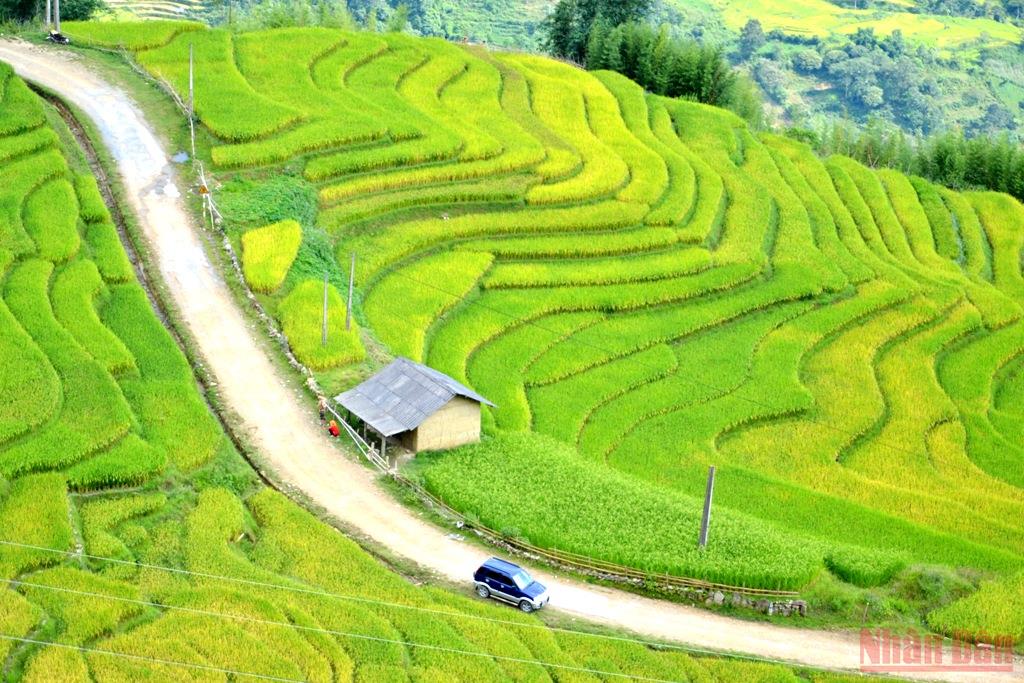 Ota Viet Nam 1 397