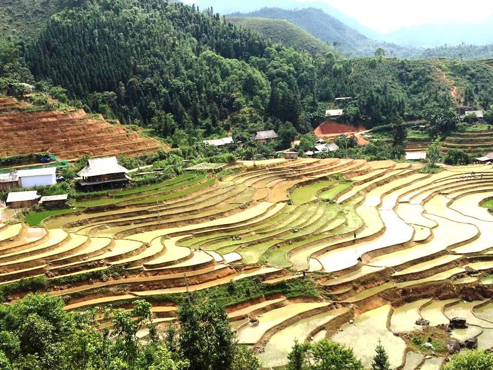 Ota Viet Nam 1 398