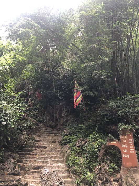 Ota Viet Nam 1 419
