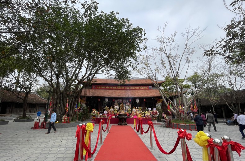 Ota Viet Nam 1 5