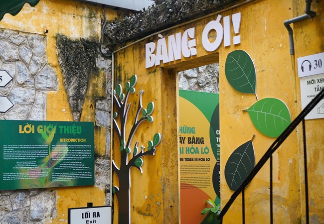 Ota Viet Nam 1 5