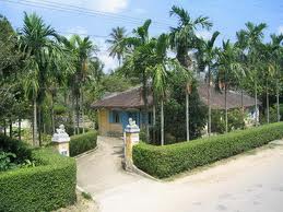 Ota Viet Nam 1 943