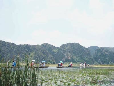 Ota Viet Nam 1 991