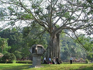Caydatt 1